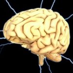 electric brain thumbnail