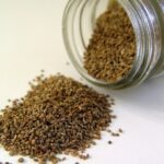 Celery_seed Howard Cheng featured