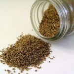 Celery_seed Howard Cheng thumbnail