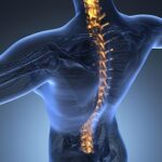 Human backache and back pain with an upper torso body skeleton s