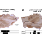 Optica scan images thumbnail