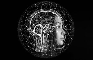 Researchers receive €10 million grant to create ‘digital twins’ in cerebral infarction treatment