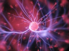 Panaxium and University of Washington sign exclusive IP agreement for ‘dynamic’ neurostimulation stroke therapy