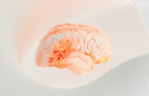 AI language model shows “encouraging” potential in locating brain lesions after stroke