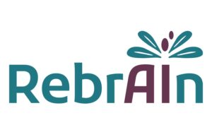 Rebrain secures European MDR certification for OptimMRI neurosurgical planning solution