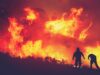 Researchers find association between air pollution from wildfires and increased stroke incidence