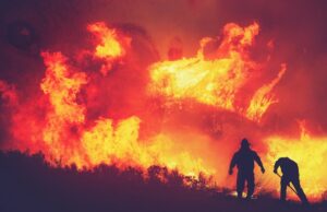 Researchers find association between air pollution from wildfires and increased stroke incidence