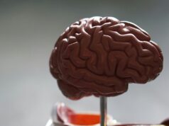 New AI-guided technique may improve delivery of brain tumour therapy