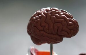 New AI-guided technique may improve delivery of brain tumour therapy