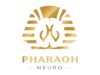 Neurapheresis CSF management system gains US FDA breakthrough designation Neurapheresis system